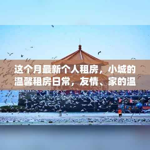 小城逐梦之旅,温馨租房日常与友情家的温暖