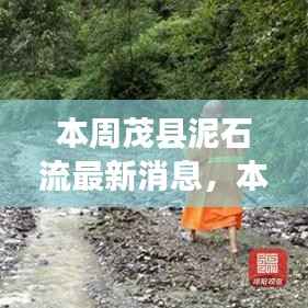 茂县泥石流最新消息,本周更新及评测介绍