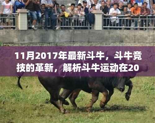 斗牛竞技革新解析,揭秘斗牛运动在2017年11月的最新发展