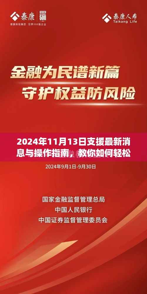 2024年11月13日支援最新消息与操作指南，教你如何轻松完成任务或学习新技能