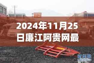 2024年廉江阿贵网最新车祸事件深度解析与细节分析
