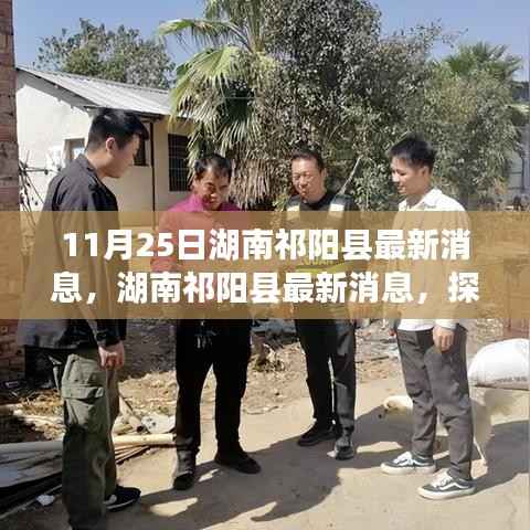 凤鸟不至 第2页