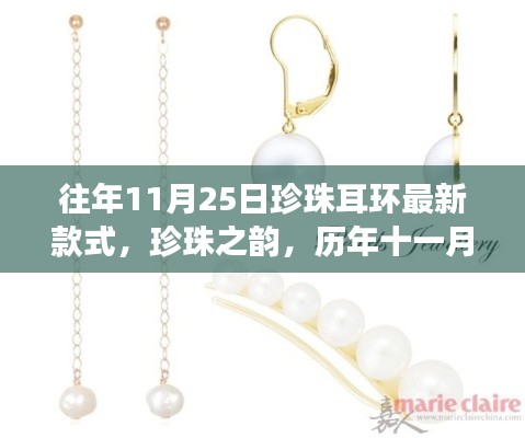 项目介绍 第520页