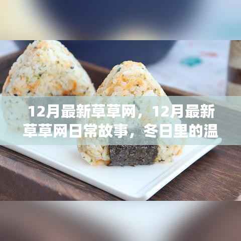 12月最新草草网,冬日温情时光的日常故事