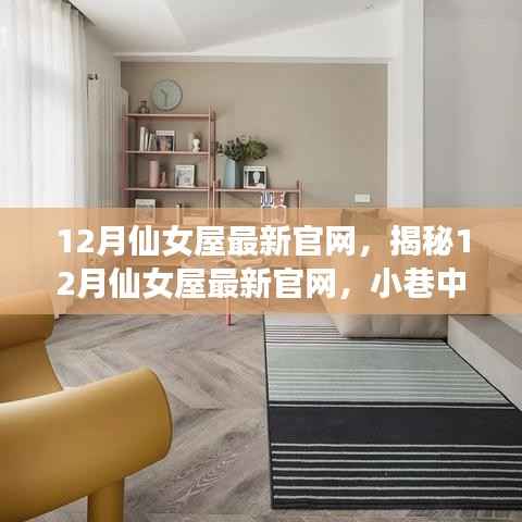 揭秘12月仙女屋最新官网,小巷中的特色仙女屋探秘