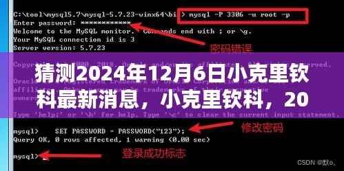 揭秘小克里钦科,2024年12月6日的最新动态与影响力回顾