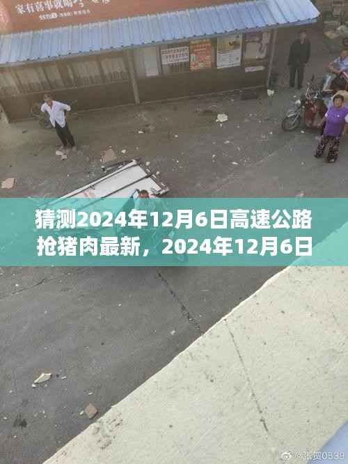 项目介绍 第439页