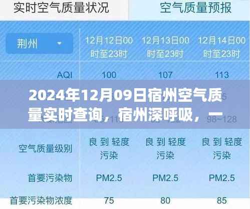 宿州空气质量实时查询，深呼吸心灵净土之旅的奇妙启程（2024年指南）