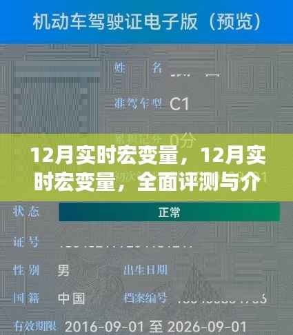 全面评测与介绍，12月实时宏变量