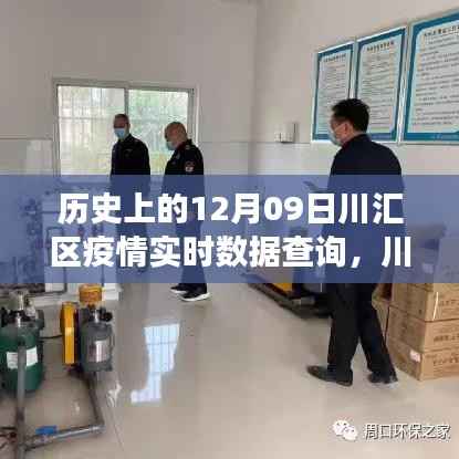 川汇区疫情下的静谧时光与实时数据追踪，自然探索之旅