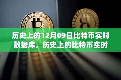 探寻比特币成长轨迹,历史上的比特币实时数据库与背后故事揭秘
