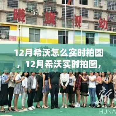 希沃实时拍图功能详解，掌握变化的力量，助力学习与自信重塑