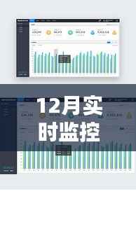 年终收官之作，深度解析12月实时监控报表数据报告