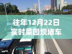 往年12月22日菜园坝实时堵车播放及观看指南