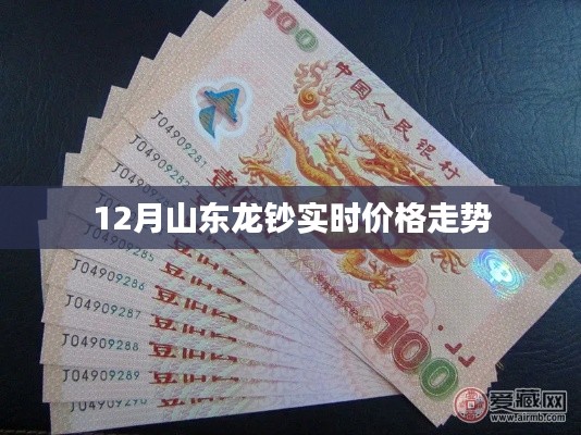 山东龙钞最新实时价格走势分析