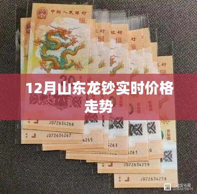 山东龙钞最新实时价格走势分析
