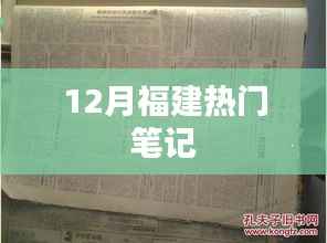 项目介绍 第300页