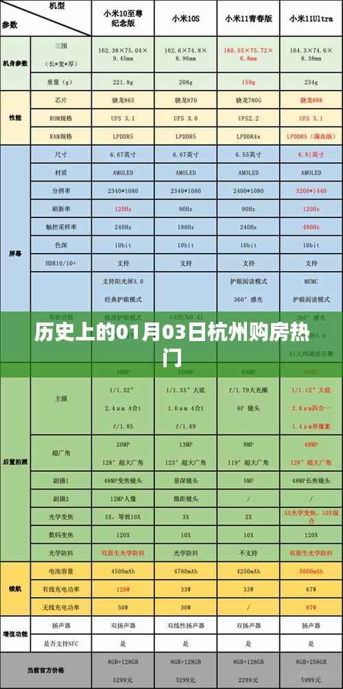 历史上的杭州购房热门日，一月三日回顾