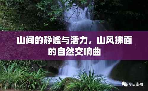 山间的静谧与活力,山风拂面的自然交响曲