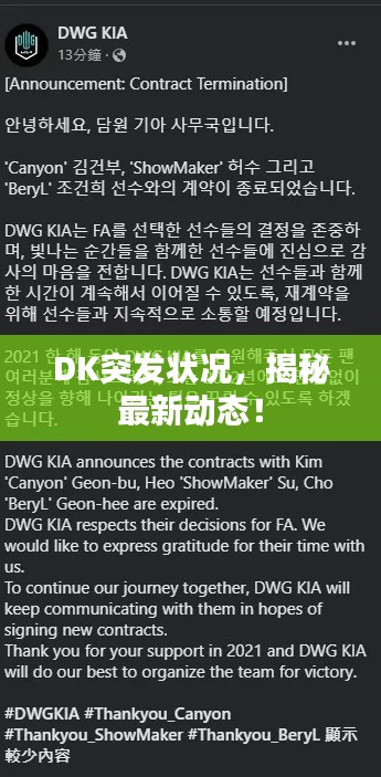 DK突发状况,揭秘最新动态!