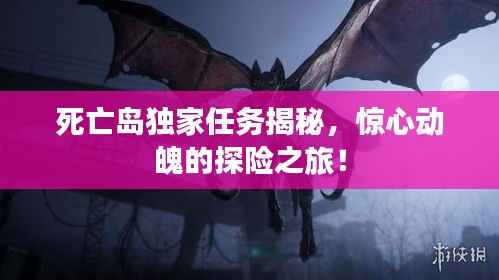 死亡岛独家任务揭秘,惊心动魄的探险之旅!