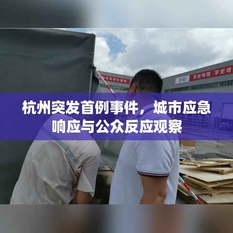 杭州突发首例事件，城市应急响应与公众反应观察