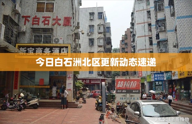 今日白石洲北区更新动态速递