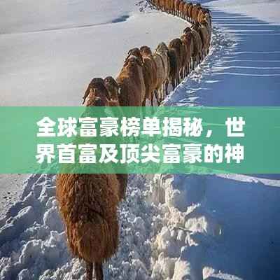 全球富豪榜单揭秘，世界首富及顶尖富豪的神秘面纱