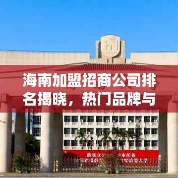 海南加盟招商公司排名揭晓,热门品牌与优质合作伙伴一网打尽!