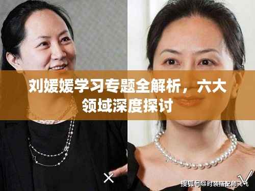 刘媛媛学习专题全解析，六大领域深度探讨