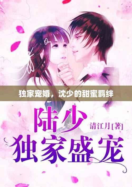 独家宠婚,沈少的甜蜜羁绊