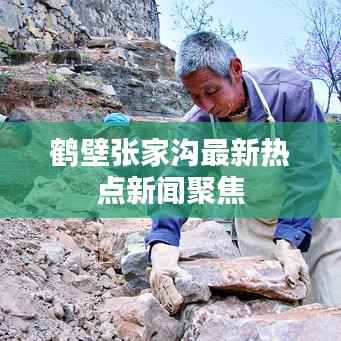 鹤壁张家沟最新热点新闻聚焦