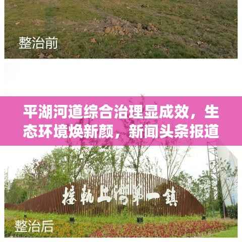 平湖河道综合治理显成效,生态环境焕新颜,新闻头条报道