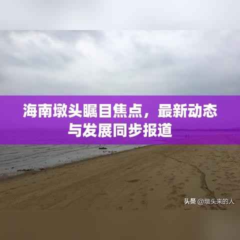 海南墩头瞩目焦点，最新动态与发展同步报道