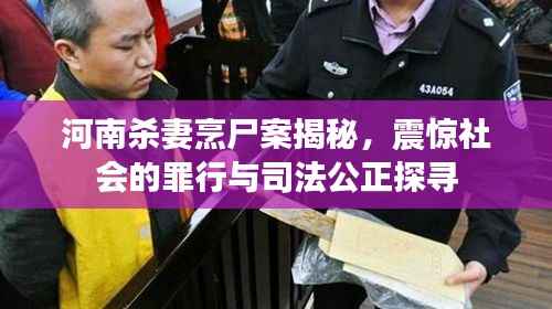 河南杀妻烹尸案揭秘,震惊社会的罪行与司法公正探寻