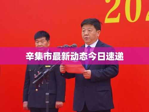 辛集市最新动态今日速递