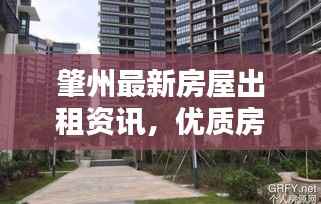 肇州最新房屋出租资讯，优质房源一览无余