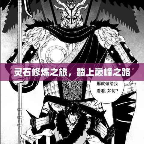 灵石修炼之旅,踏上巅峰之路