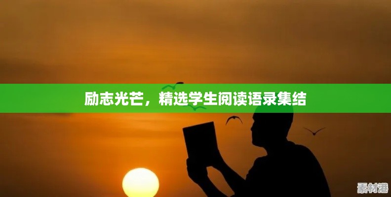 励志光芒,精选学生阅读语录集结